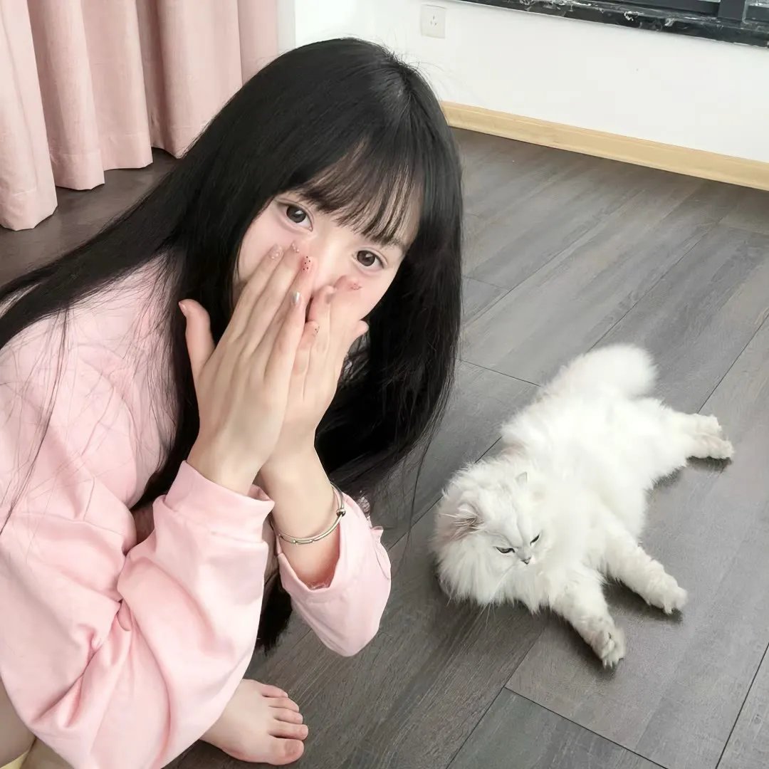 新哥斯拉