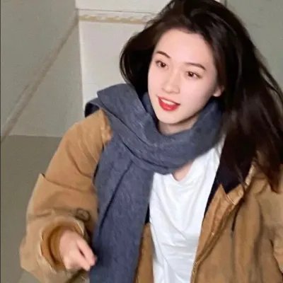 大象席地而坐